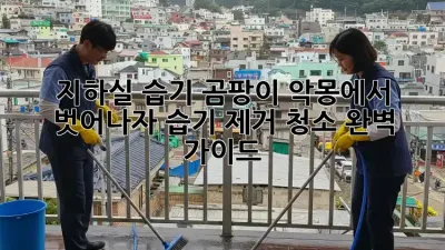 지하실 습기, 곰팡이 악몽에서 벗어나자! 습기 제거 청소 완벽 가이드