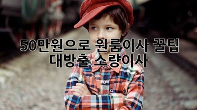 50만원으로 원룸이사? 꿀팁 대방출!🍯 #소량이사